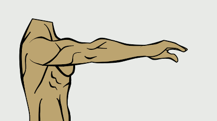 arm