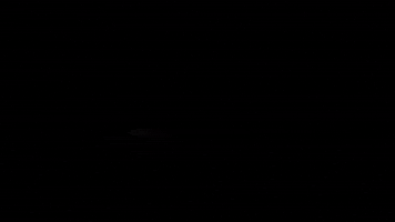 Martial Arts Artes Marciais GIF by Krav-Maga BUKAN Goiânia