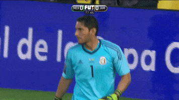 200.gif?cid=fc005b088c4fe9e9a4d2558df7a6cd5f19f2e1a4680fd9e0&rid=200.gif&ct=g