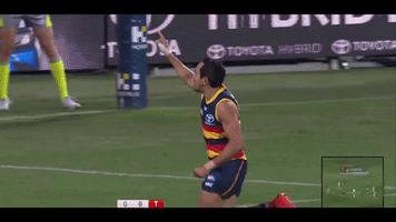eddie betts GIF by Adelaide Crows
