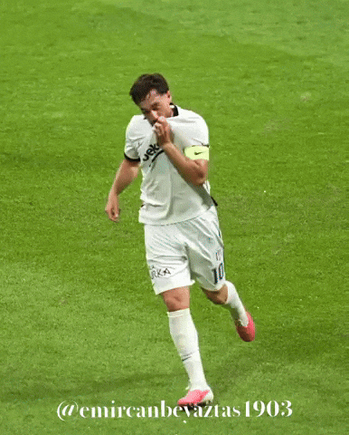 Beşiktaş GIF