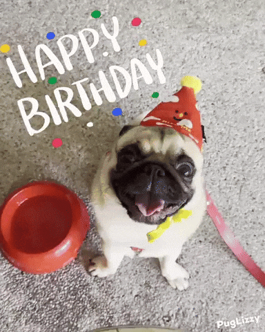 Happy Birthday GIF