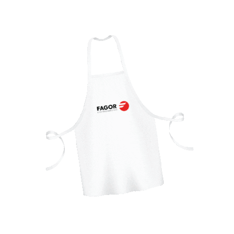 FagorElectrodomestico Sticker