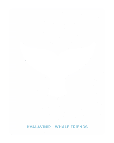 Iceland Whales Sticker by Styngvi