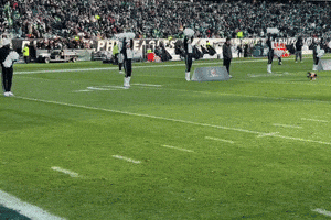 Corgi Eagles GIF