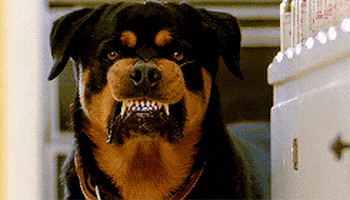 Rabid Dog GIFs - Get the best GIF on GIPHY