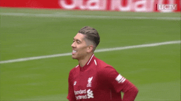 Happy Premier League GIF by Liverpool FC