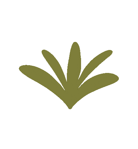 Plant Sticker