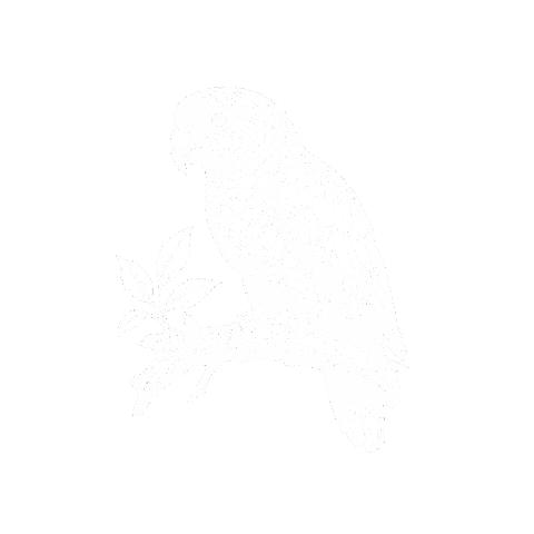 Cotorra Tamoaqui Sticker by Masiel Mateo