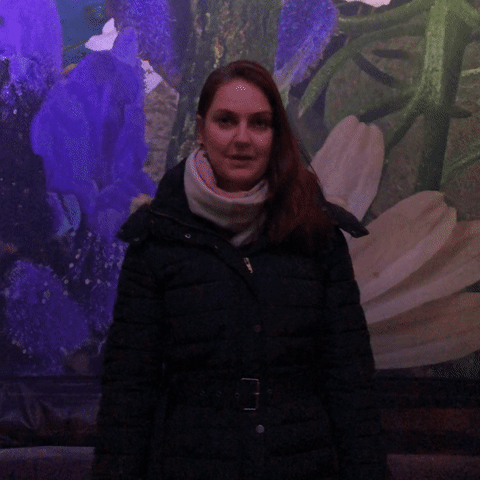 Leipzigtravel GIF