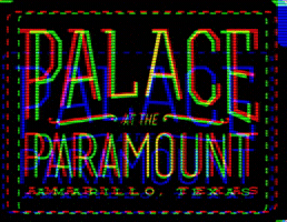 GIF by Palace Coffee Co