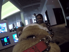 Bulldog GIF by pammypocket