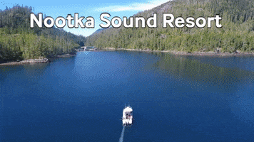 Boat Fishing GIF