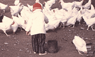 home movie child GIF by Texas Archive of the Moving Image