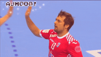 Zlatko Horvat Handball GIF
