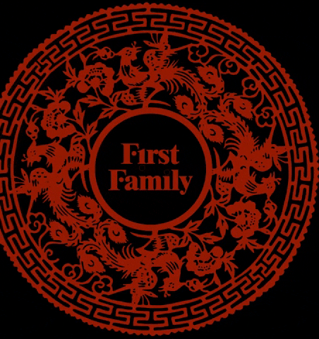 Lucky Strike GIF by First Family DC
