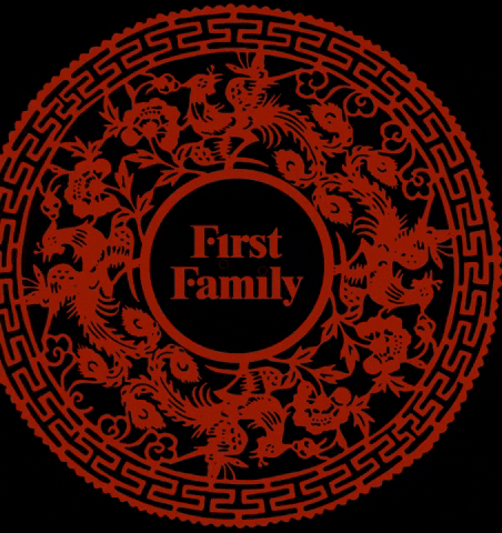 lucky strike GIF by First Family DC