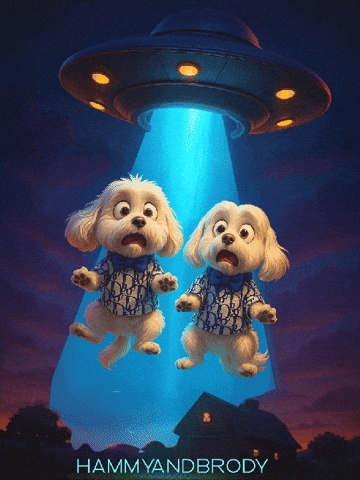 Probing Alien Abduction GIF by HammyandBrody