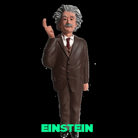 Einstein No GIF by ulmentdecken