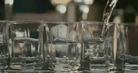 alcohol partying GIF
