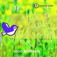 LearnerCircle-cute-nature-spring-9LVzxdtgcIipLyWccR