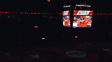 Washington Capitals Hockey GIF