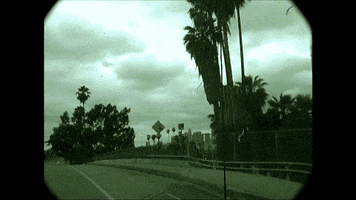 los angeles mexico GIF by Epitaph Records