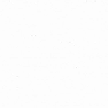 Amsterdam Made GIF