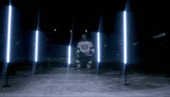 College Hockey Ncaahockey GIF by Union Men's Hockey