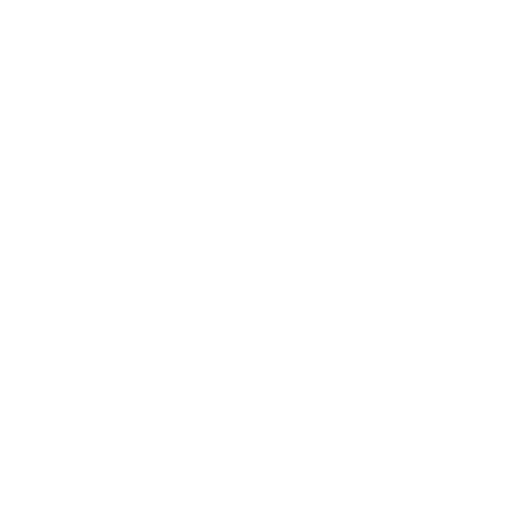 Bracco4X4 Sticker by Tik