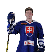 TIPOS Slovenská hokejová liga Sticker