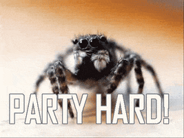 spiders party hard GIF
