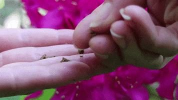 Girl Smoke GIF