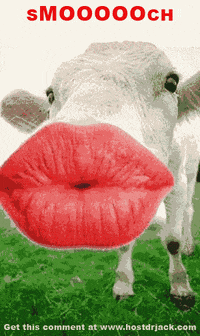 200w.gif