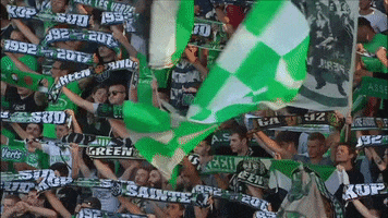 fans flags GIF by AS Saint-Etienne