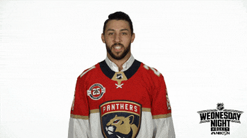 excited florida panthers GIF by NHL on NBC Sports