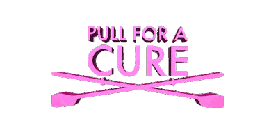 Pink Breastcancerawareness Sticker by WaterRower Inc.