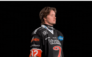 Hockey Liiga GIF by JYP