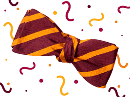 Excited Bow Tie GIF by Susquehanna University