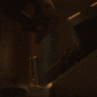 Money Count GIF by #FestivalVarilux