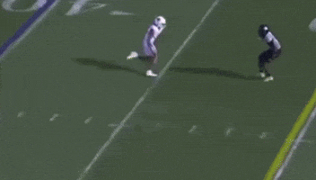 Utah Utes GIF