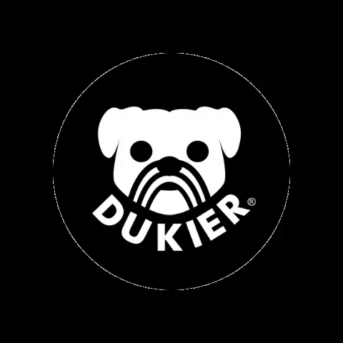 dogs pugs GIF by Dukier