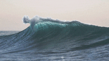 Ocean Surf GIF