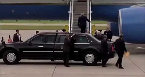 toilet paper trump GIF