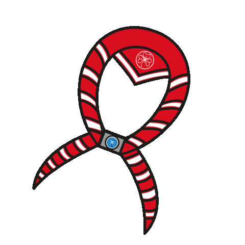 Pañueloguia Sticker by Asociación Guias Argentinas