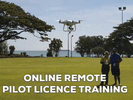 Remote Pilot GIF