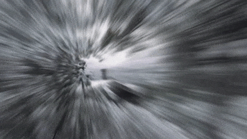Pine Arizona GIF
