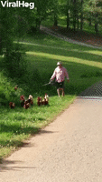 Dad Uses Leaf Blower To Herd Chickens Back To Yard GIF by ViralHog
