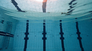 Swimming Pool GIF by Watery