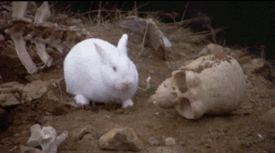 https://media2.giphy.com/media/9Rd7ocSZ81cHe/giphy.gif?cid=790b76112cc0d3fb00971013324f1e9565e4b96f278d27c6&rid=giphy.gif